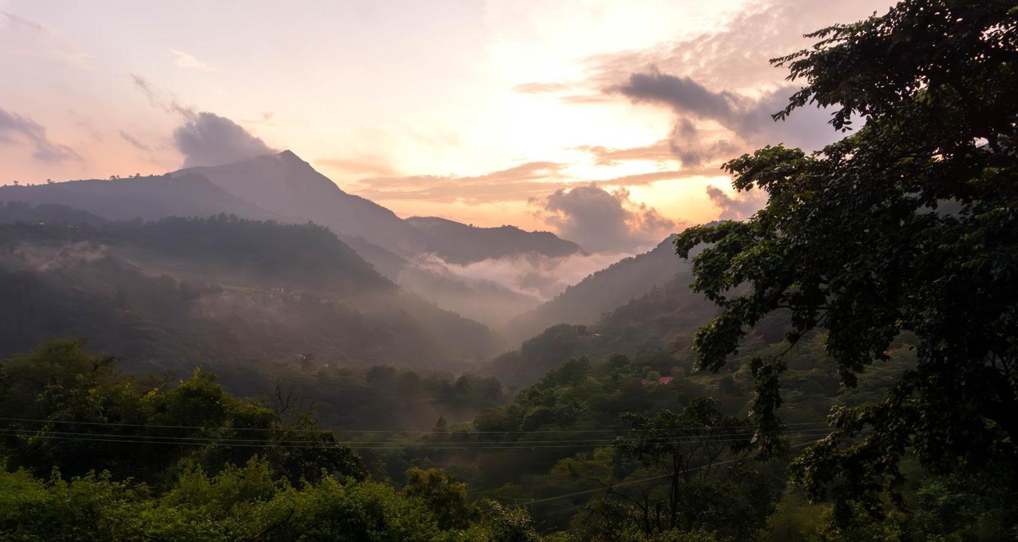 Isol Nature Resort Rishikesh Ngoại thất bức ảnh
